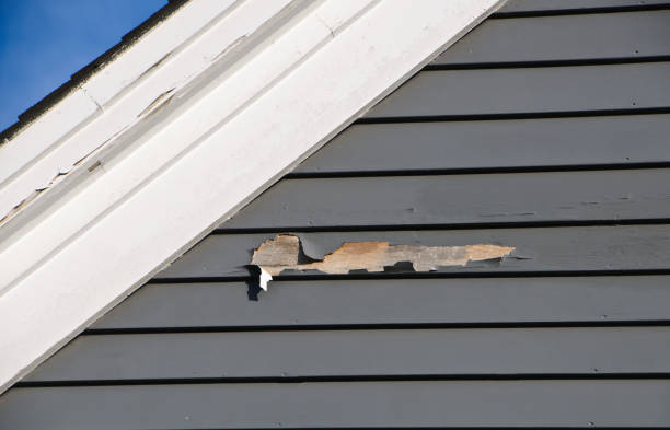 Siding Removal and Disposal